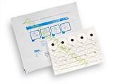 8900-0704 ZOLL ECG 1.5 英寸小型圆形射线可透过电极，适用于除颤器 ZOLL MRE 系列